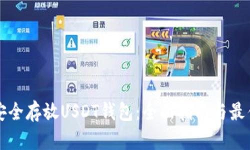 如何安全存放USDT钱包：全面指南与最佳实践