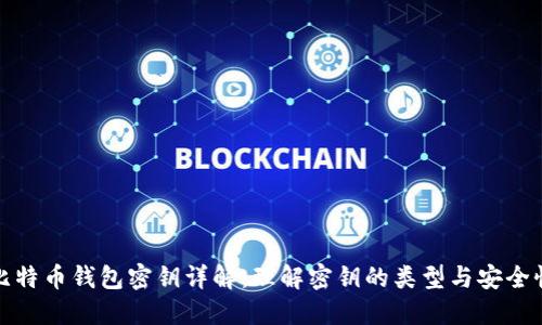比特币钱包密钥详解：理解密钥的类型与安全性