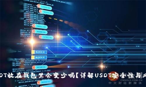 USDT放在钱包里会变少吗？详解USDT安全性与风险