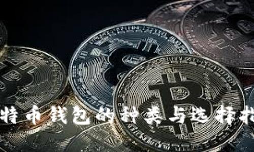 比特币钱包的种类与选择指南