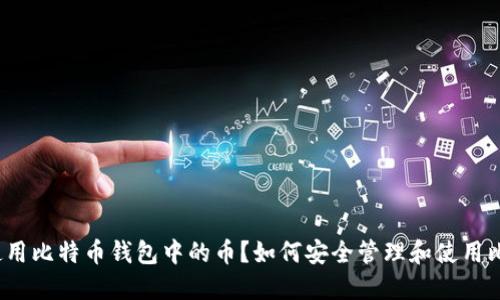 如何安全管理和使用比特币钱包中的币？如何安全管理和使用比特币钱包中的币？
