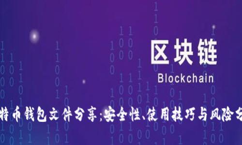 比特币钱包文件分享：安全性、使用技巧与风险分析