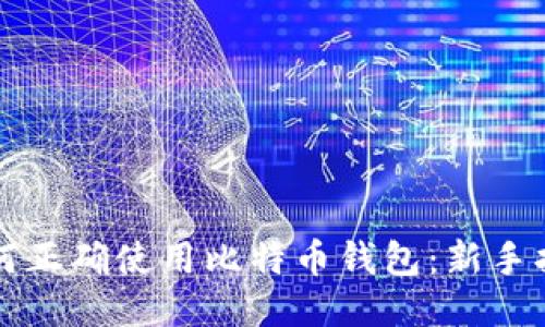 如何正确使用比特币钱包：新手指南
