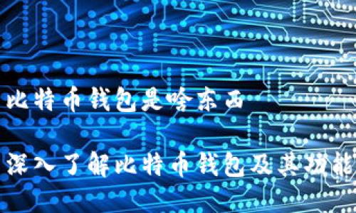 比特币钱包是啥东西

深入了解比特币钱包及其功能