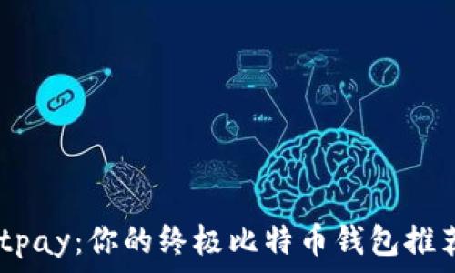   
Instawalletpay：你的终极比特币钱包推荐与使用指南