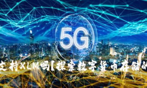 货币钱包支持XLM吗？探索数字货币存储的最佳选择