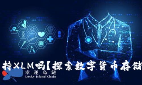 货币钱包支持XLM吗？探索数字货币存储的最佳选择