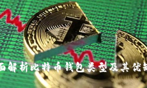 全面解析比特币钱包类型及其优缺点
