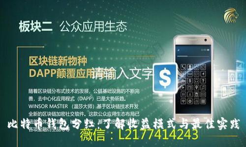 比特币钱包分红：了解收益模式与最佳实践