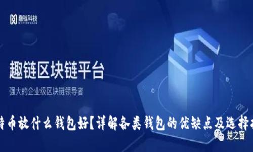 比特币放什么钱包好？详解各类钱包的优缺点及选择指南