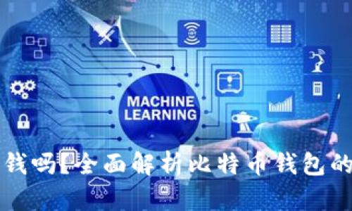 比特币钱包能存钱吗？全面解析比特币钱包的功能与使用技巧