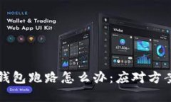 比特币私人钱包跑路怎么办：应对方案与风险防