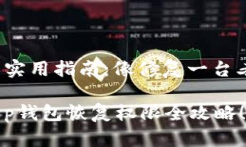 t p钱包恢复权限的实用指南：像修复一台老旧收音机那样简单

你的钱包被锁了？t p钱包恢复权限全攻略！