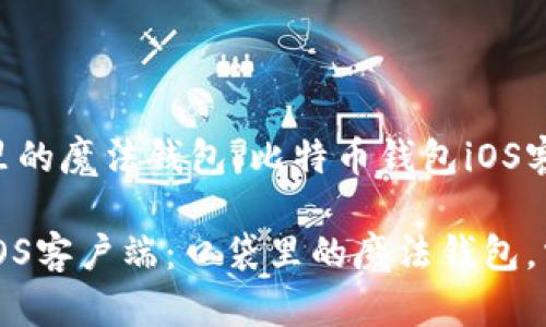 想像你口袋里的魔法钱包：比特币钱包iOS客户端的魅力

比特币钱包iOS客户端：口袋里的魔法钱包，掌握你的财富