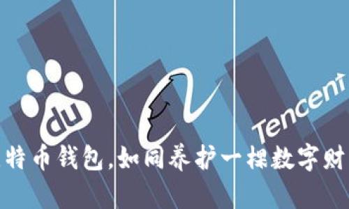建立比特币钱包，如同养护一棵数字财富之树