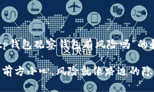 以下是关于“tp钱包观察钱包有风险吗”的和相关关键词。

“TP钱包观察：前方小心，风险就像路边的隐形大坑！”