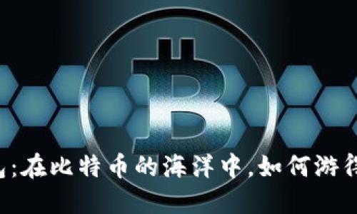 虚荣钱包：在比特币的海洋中，如何游得更优雅？