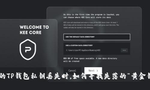 当你的TP钱包私钥丢失时，如何寻找失落的“黄金钥匙”？