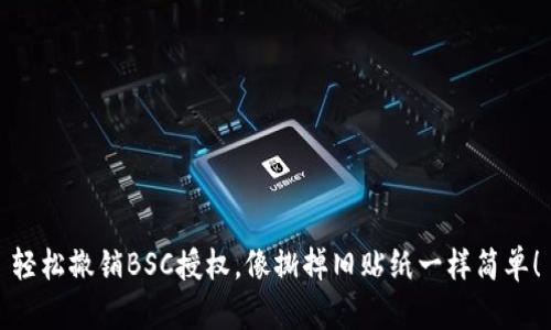 轻松撤销BSC授权，像撕掉旧贴纸一样简单！