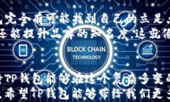 bisoti在印度用TP钱包支付：一场数字支付的奇幻旅