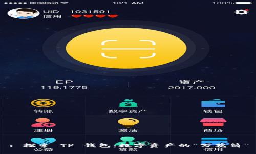 : 探索 TP 钱包：数字资产的“万花筒”