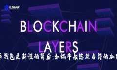 比特币钱包更新慢的背后：如蜗牛般悠然自得的