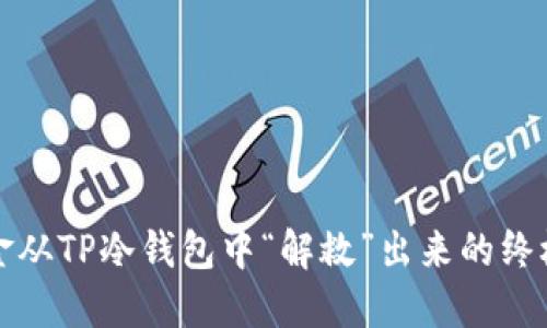 将资金从TP冷钱包中“解救”出来的终极指南