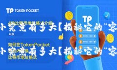 比特币钱包的大小究竟有多大？揭秘它的“容量