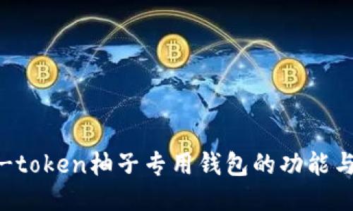 全揭秘：e-token柚子专用钱包的功能与使用指南
