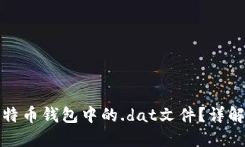 如何打开比特币钱包中的.dat文件？详解步骤与技巧