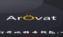 如何轻松打开比特币钱包：一步步指南