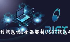 USDT可以存到钱包吗？全面解析USDT钱包的存储与使