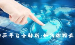 比特币钱包购买平台全解析：如何选择最适合你