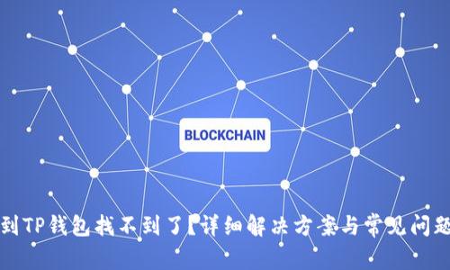提币到TP钱包找不到了？详细解决方案与常见问题解析