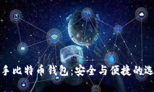 二手比特币钱包：安全与便捷的选择