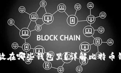 买了比特币后应该放在哪些钱包里？详解比特币钱包类型与选择指南