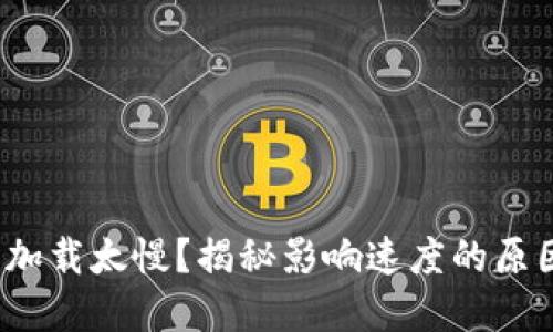  比特币钱包加载太慢？揭秘影响速度的原因与解决方案