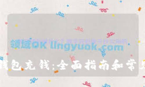 怎样向TP钱包充钱：全面指南和常见问题解答