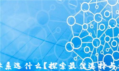 
TP钱包体系选什么？探索最佳选择与使用指南