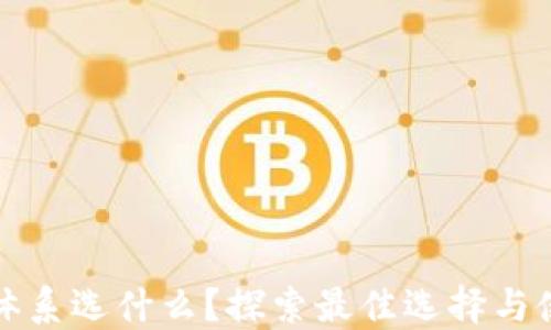 
TP钱包体系选什么？探索最佳选择与使用指南