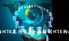 TP钱包中的MTE是什么？全面解析MTE的概念与应用