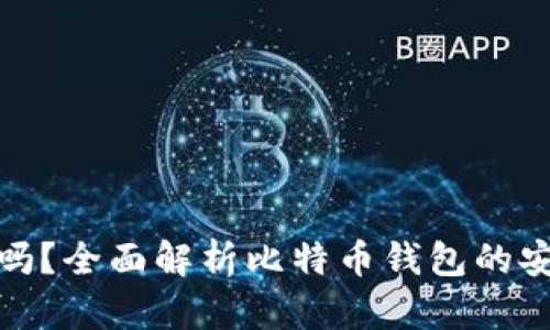 比特币钱包安全吗？全面解析比特币钱包的安全性与防护措施