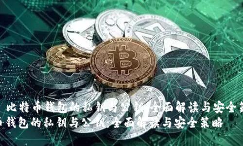 Title: 比特币钱包的私钥与公钥：全面解读与安全策略  
比特币钱包的私钥与公钥：全面解读与安全策略