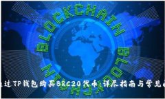 : 如何通过TP钱包购买BRC20代币：详尽指南与常见