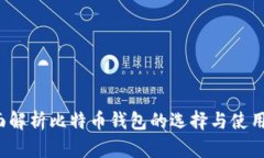  全面解析比特币钱包的选择与使用指南