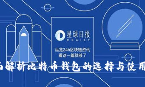  全面解析比特币钱包的选择与使用指南