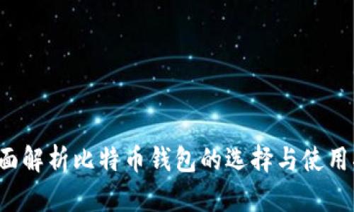  全面解析比特币钱包的选择与使用指南