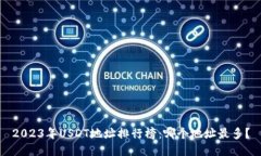 2023年USDT地址排行榜：哪个地址最多？